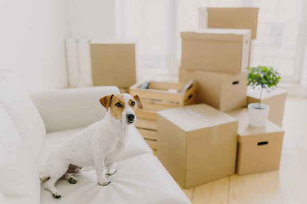 Quels sont les avantages d'un système de chauffage par le sol dans une maison ancienne?