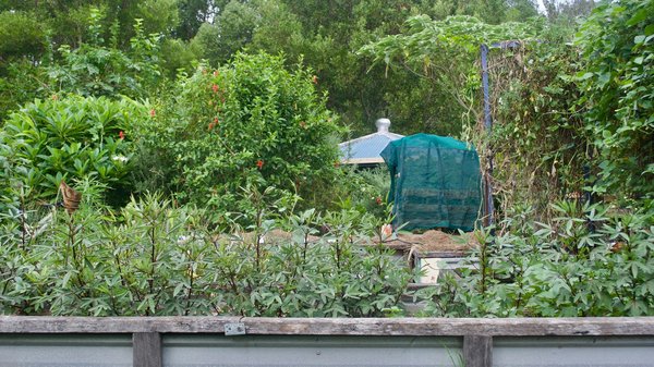Comment introduire un système de buttes de permaculture dans un petit espace ?